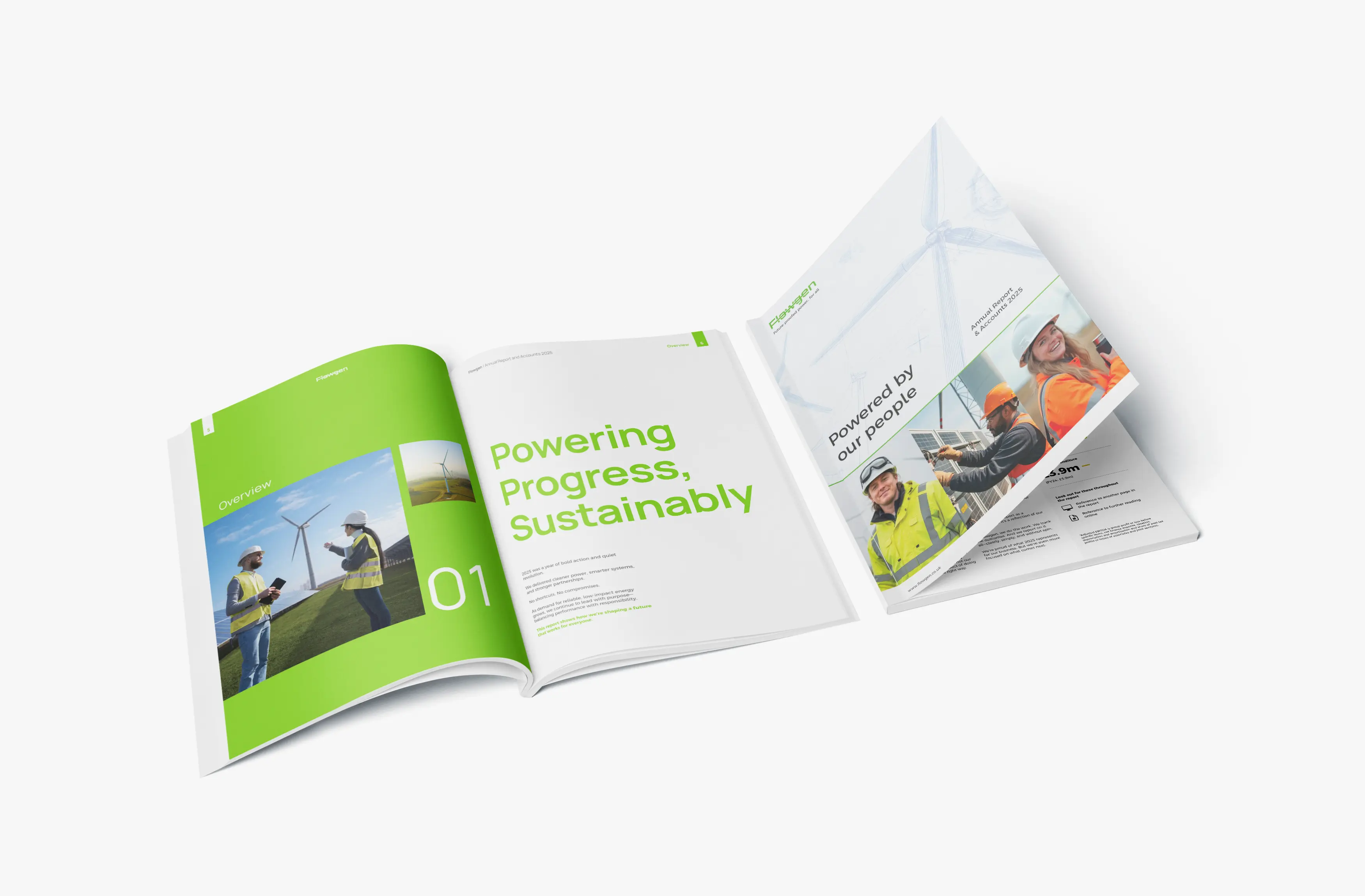 Flowgen report mockup